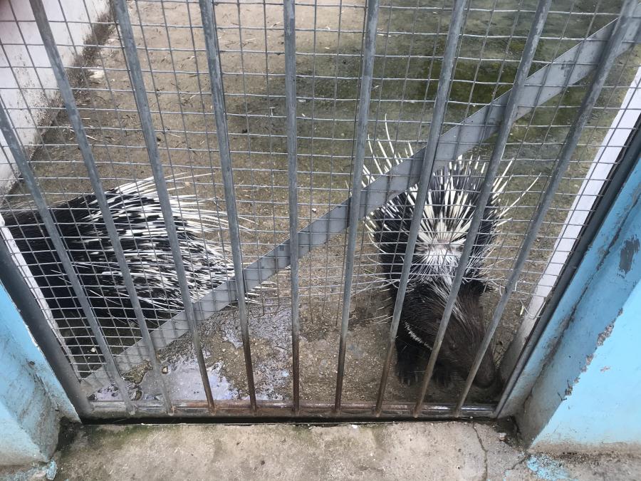 天鵝湖風(fēng)景區(qū)（泰山）速覽！(圖10)