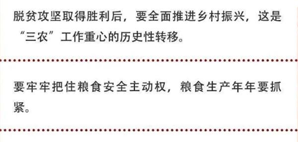 2020年中央農(nóng)村工作會議精神速覽！(圖2)