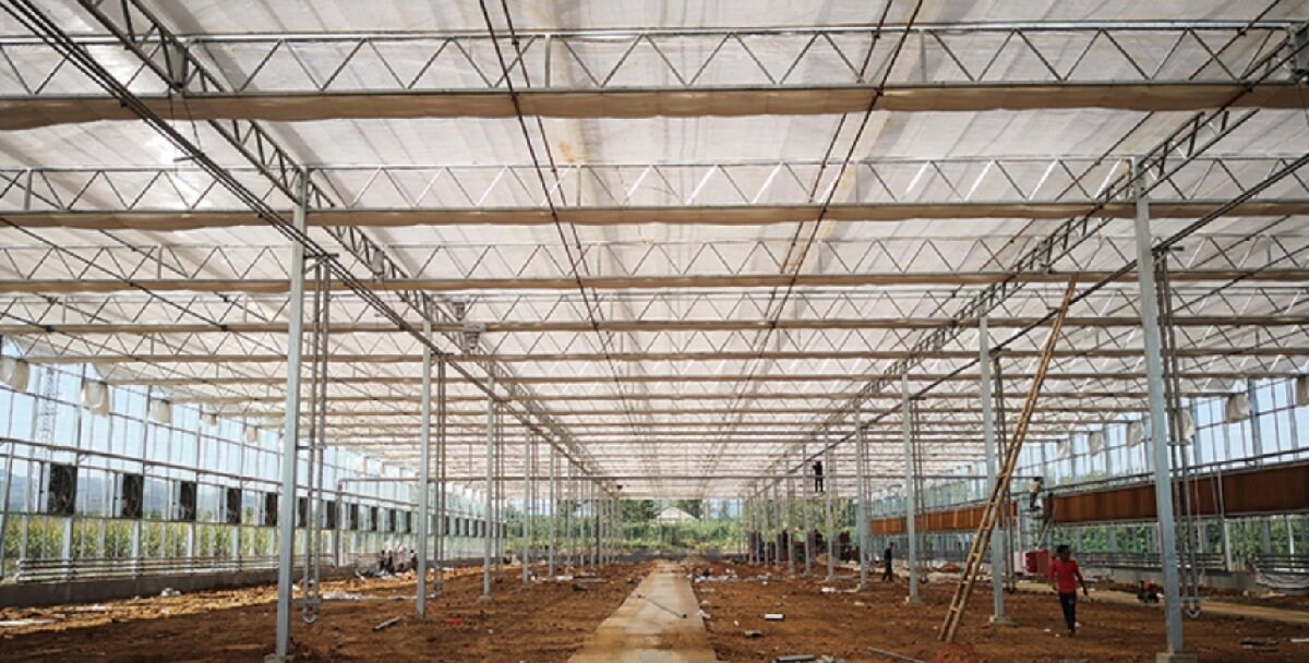 信橋鋼構(gòu)：打卡蒙陰農(nóng)業(yè)溫室大棚、青州黑牛養(yǎng)殖基地！(圖3)