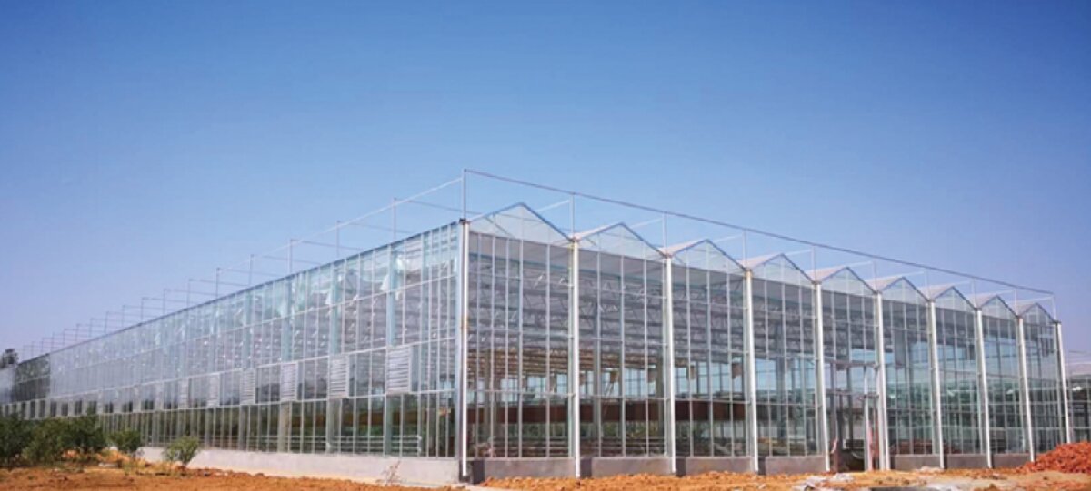 信橋鋼構(gòu)：打卡蒙陰農(nóng)業(yè)溫室大棚、青州黑牛養(yǎng)殖基地！(圖2)